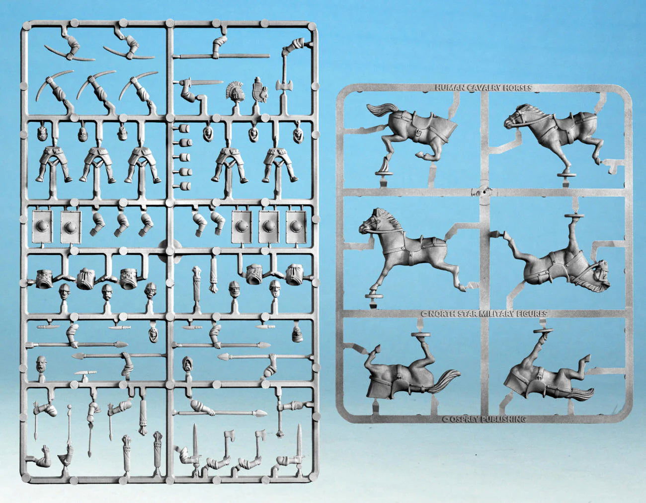 Cipolla Hobbies -  - Oathmark Human Cavalry